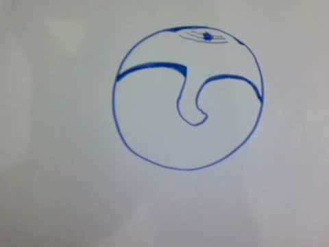 480x360 Tympanic Membrane(Eardrum) Lord Ganesh