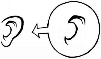 384x225 Drawing The Actual Ear