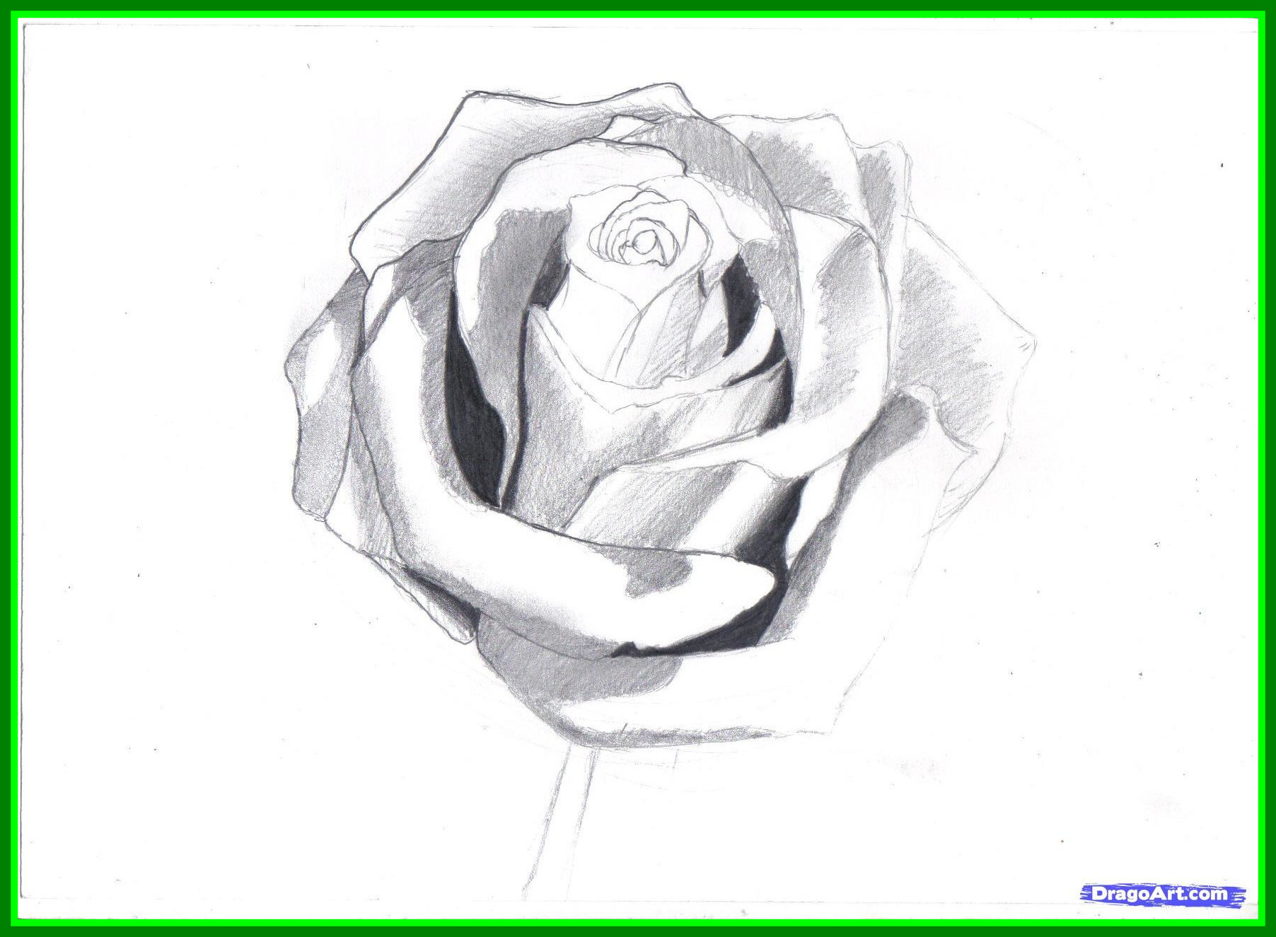 1804x1325 The Best Drawing How To Draw A Realistic Flower Also Pict