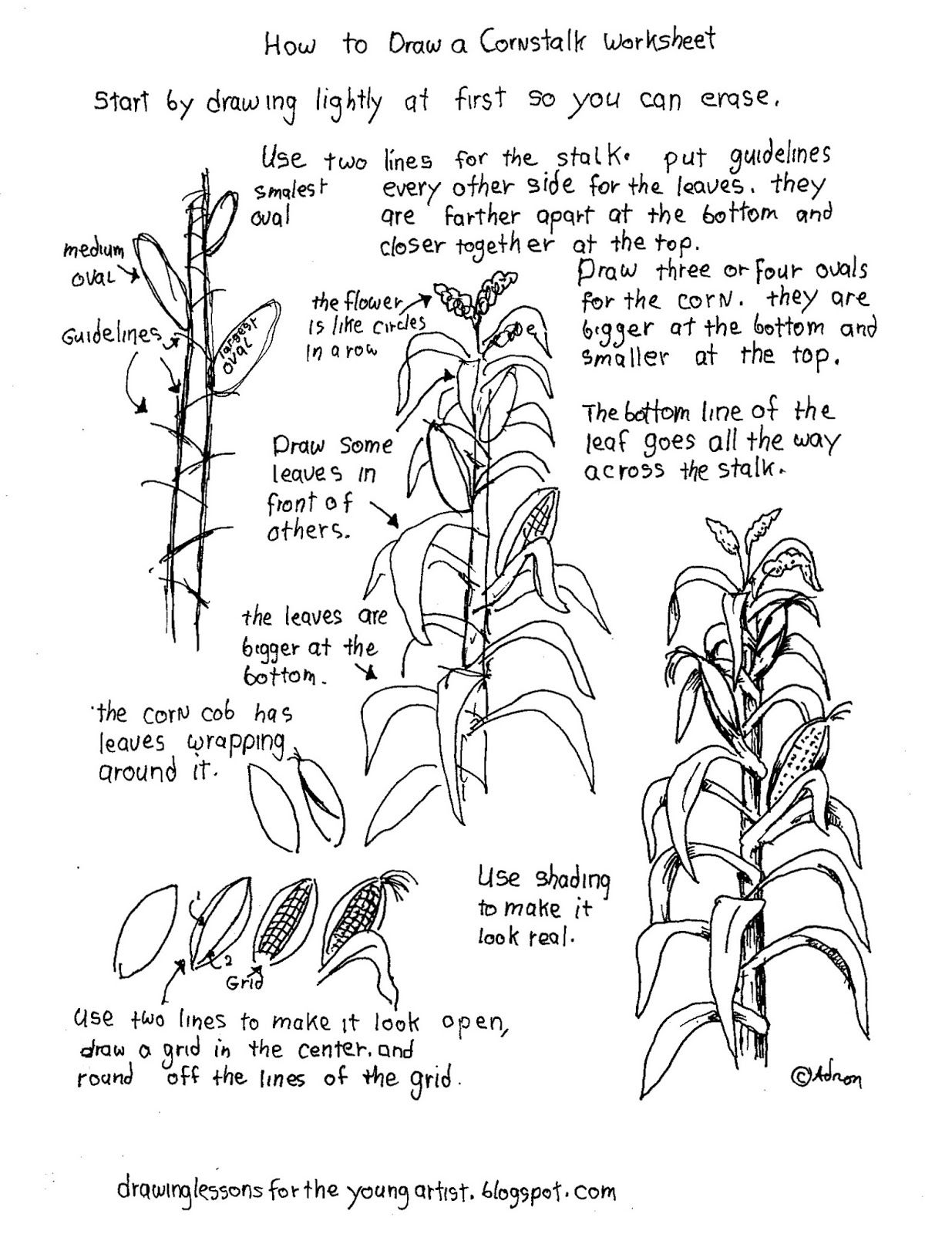 1235x1600 How Draw Worksheets For The Young Artist Free Printable How