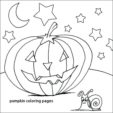 474x474 Grid Coloring Sheets Worksheets Unique Free For Coordinate