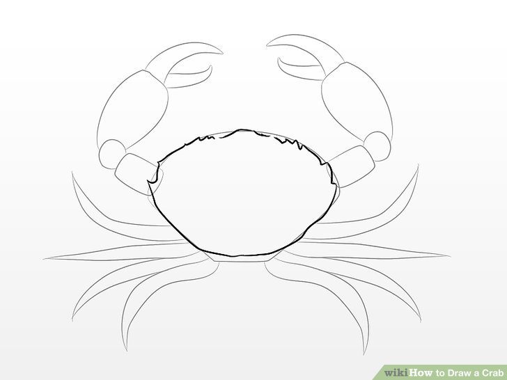728x546 How To Draw A Crab 10 Steps (With Pictures)