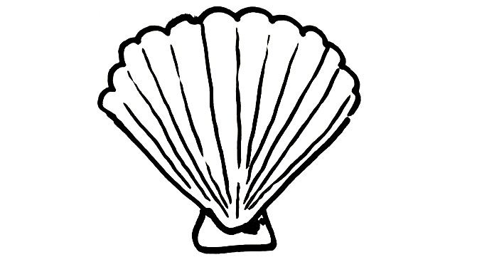 709x375 How To Draw A Nautilus Shell Real Easy Shoo Rayner Author