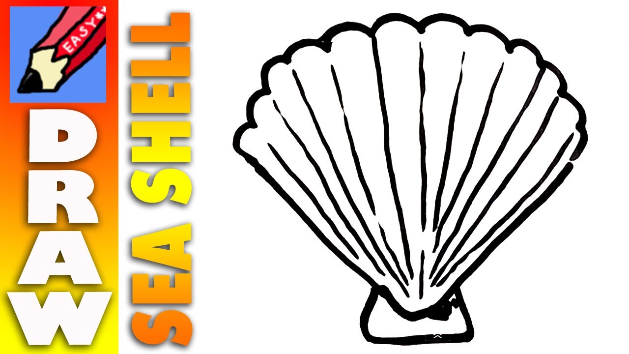 1280x720 Collection Of Easy Seashell Drawing High Quality, Free