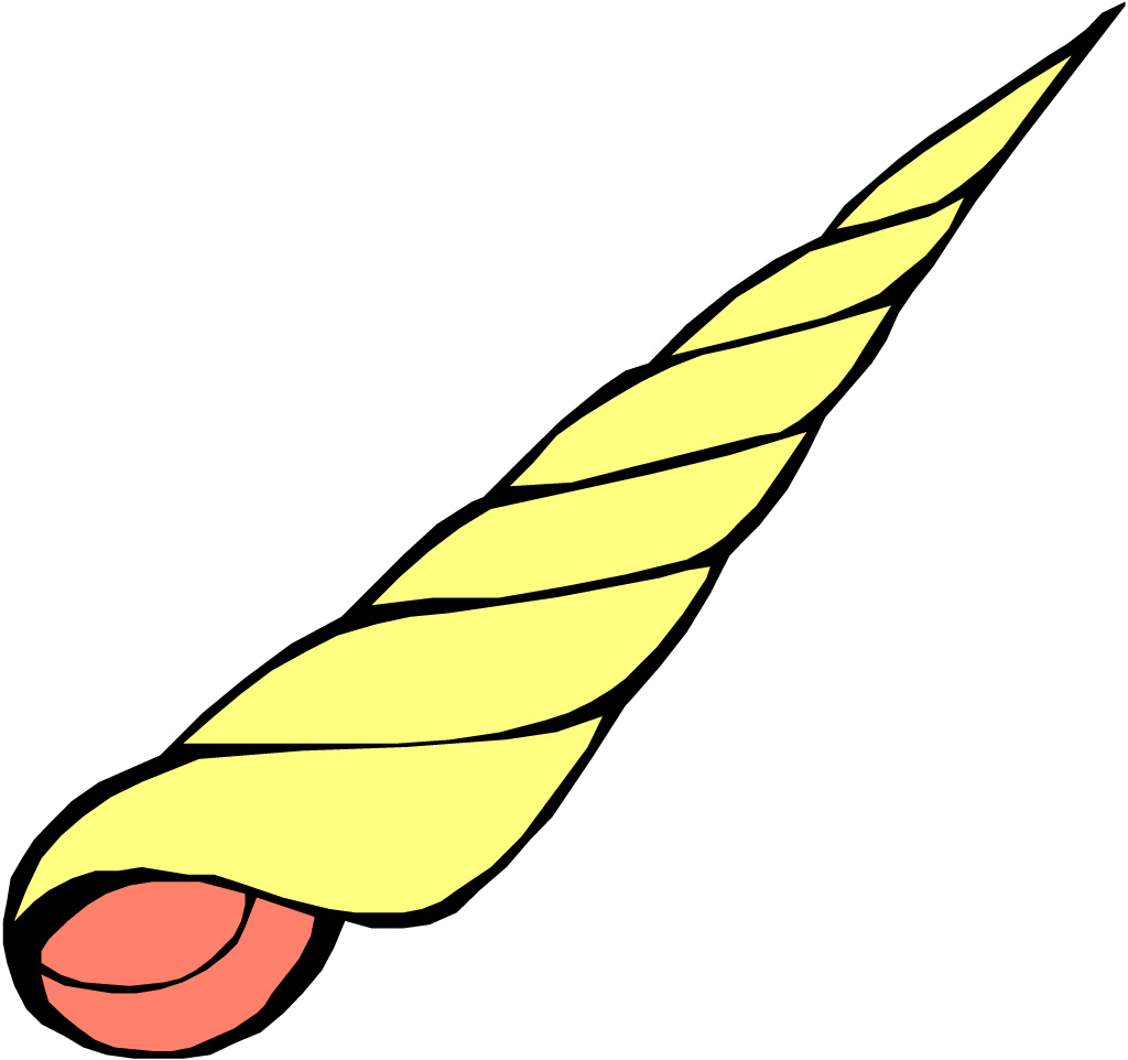 1024x962 Best Photos Of Easy To Draw Sea Shells