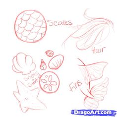 236x236 How To Draw A Seashell, Seashells, Step By Step, Stuff, Pop