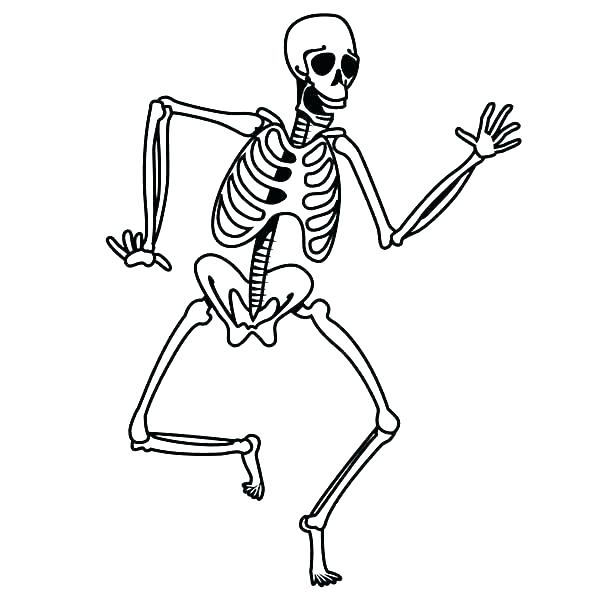 Easy Skeleton Drawing For Kids at GetDrawings | Free download