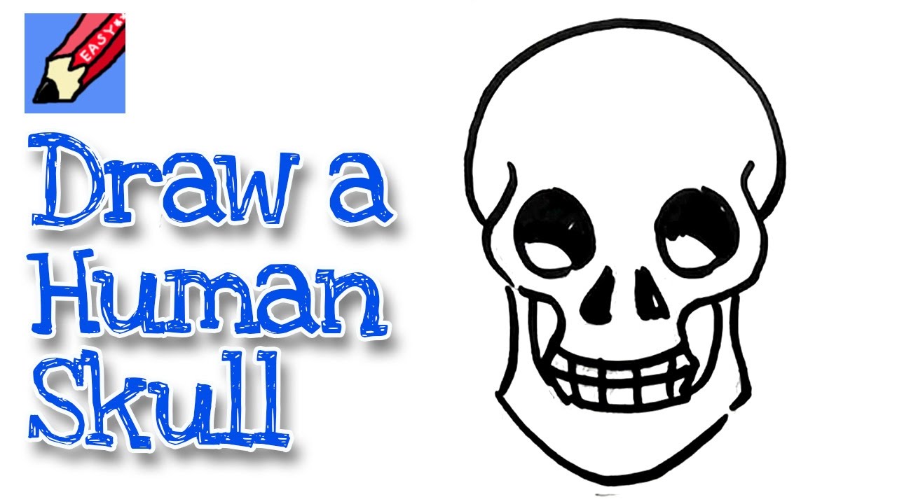 1280x720 How To Draw A Human Skull