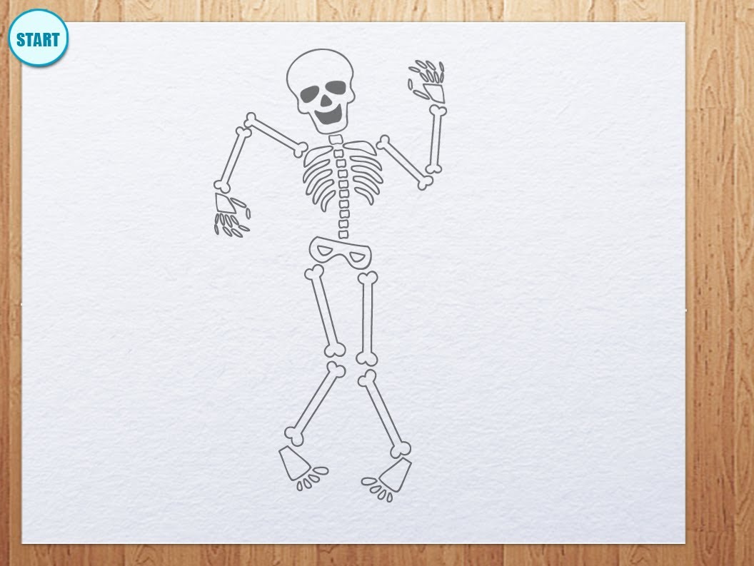 1056x793 How To Draw Skeleton