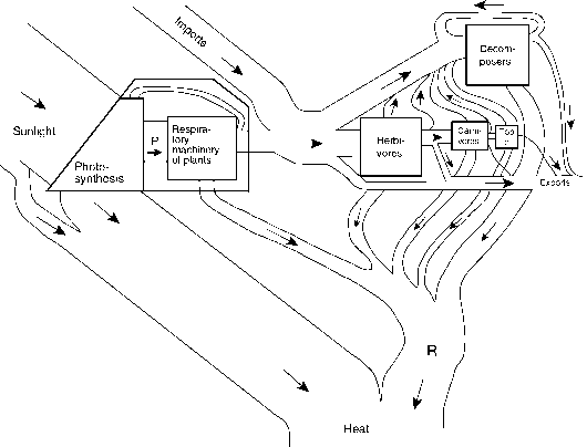 530x404 Lakes As Ecosystems