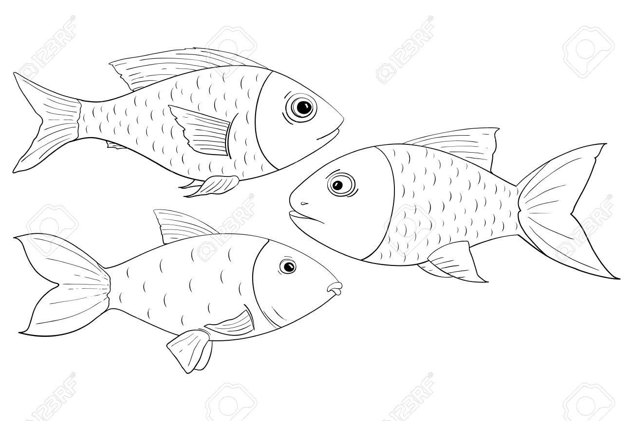 1300x866 Edge Fish Outline Drawing Koi Drawings From The Thin Ink
