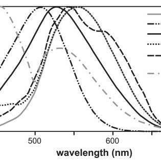 315x315 Photopic And Scotopic Luminous Efficiency Functions [10] And Other