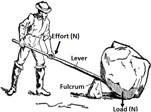 504x377 Wonders Of Science Chapter 10 Simple Machine