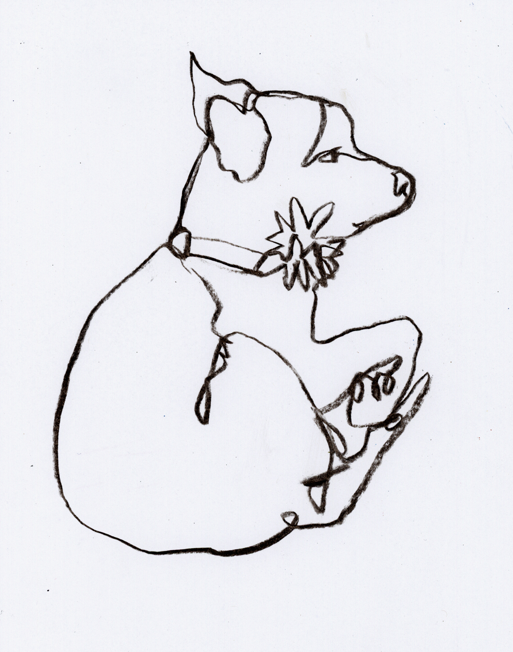 1000x1271 Blog Penelope Dullaghan