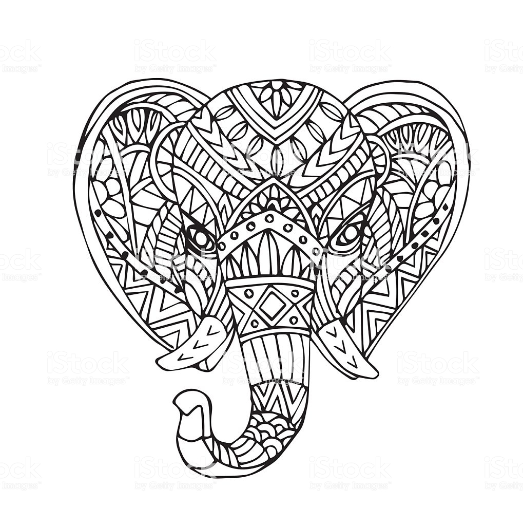 1019x1024 Coloring Elephant Head Drawing 5 Vector Hand Draw Of Id629691076
