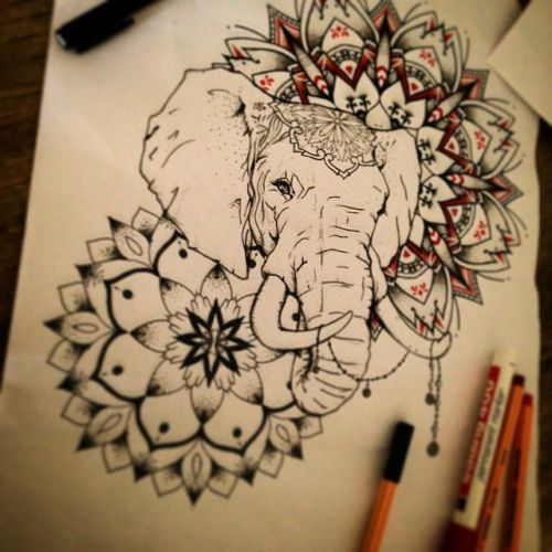 500x500 Elephant Sketch Tumblr