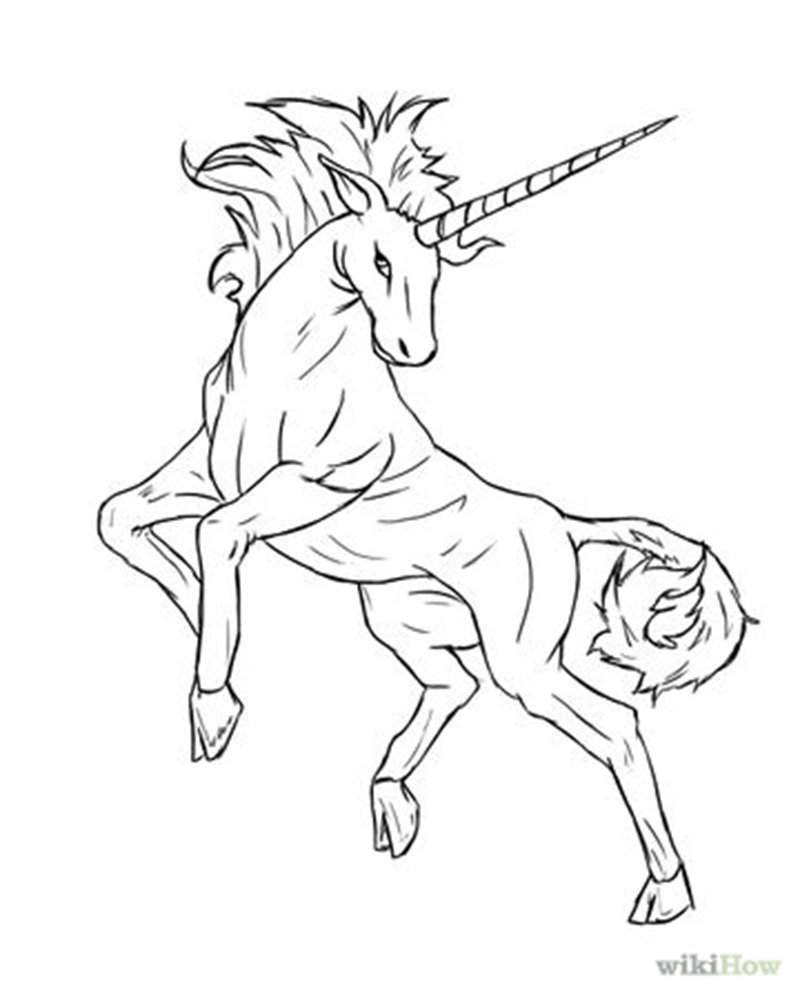 800x1000 Drawn Elk Unicorn