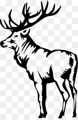 260x400 Elk Deer Moose Clip Art