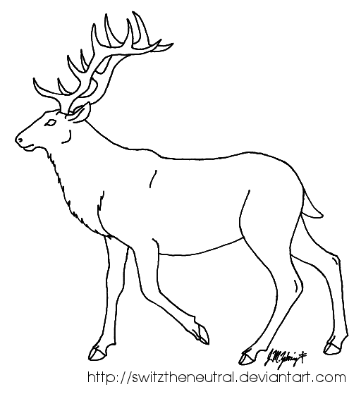 512x576 Free Use Elk Template By Pinemartenartin