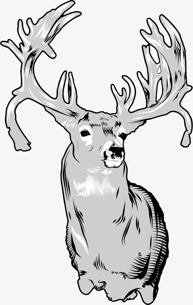 630x995 Line Drawing Deer, Line Drawing Animals, Elk, Line Png Image