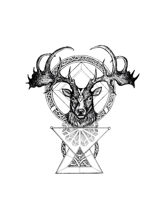 540x735 The Irish Elk, A Tablet Case By Mil Et Une