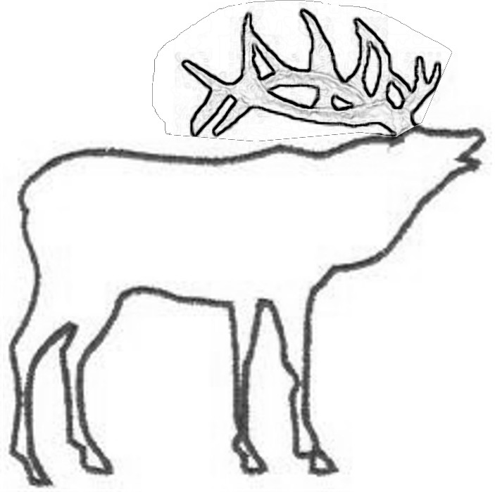 703x700 Drawn Elk Easy