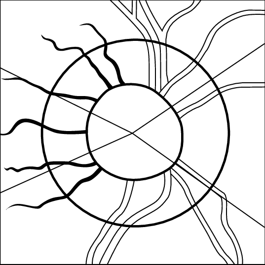 537x538 The Ellipse Line Placed