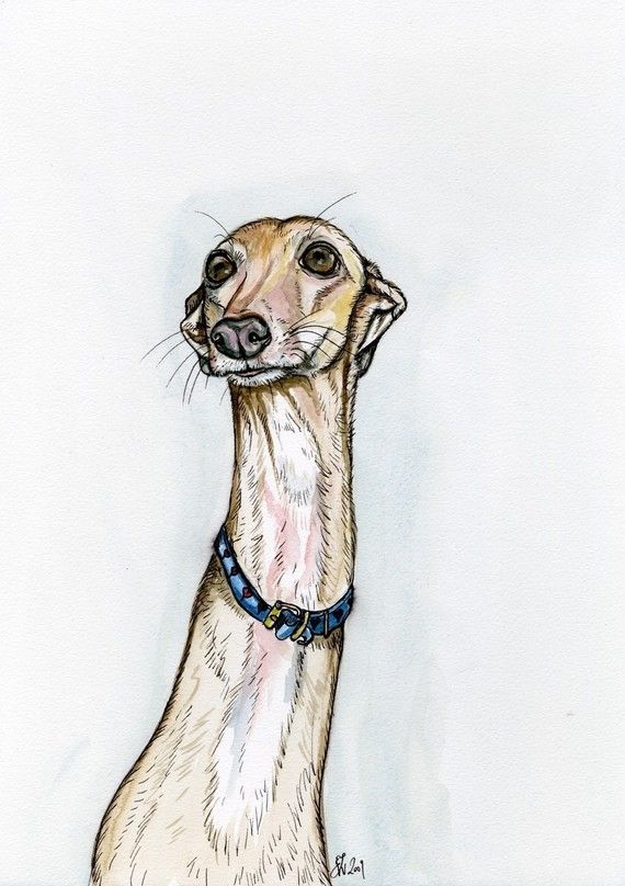 570x808 18 Best Sketch Images On Sketches, Character Design