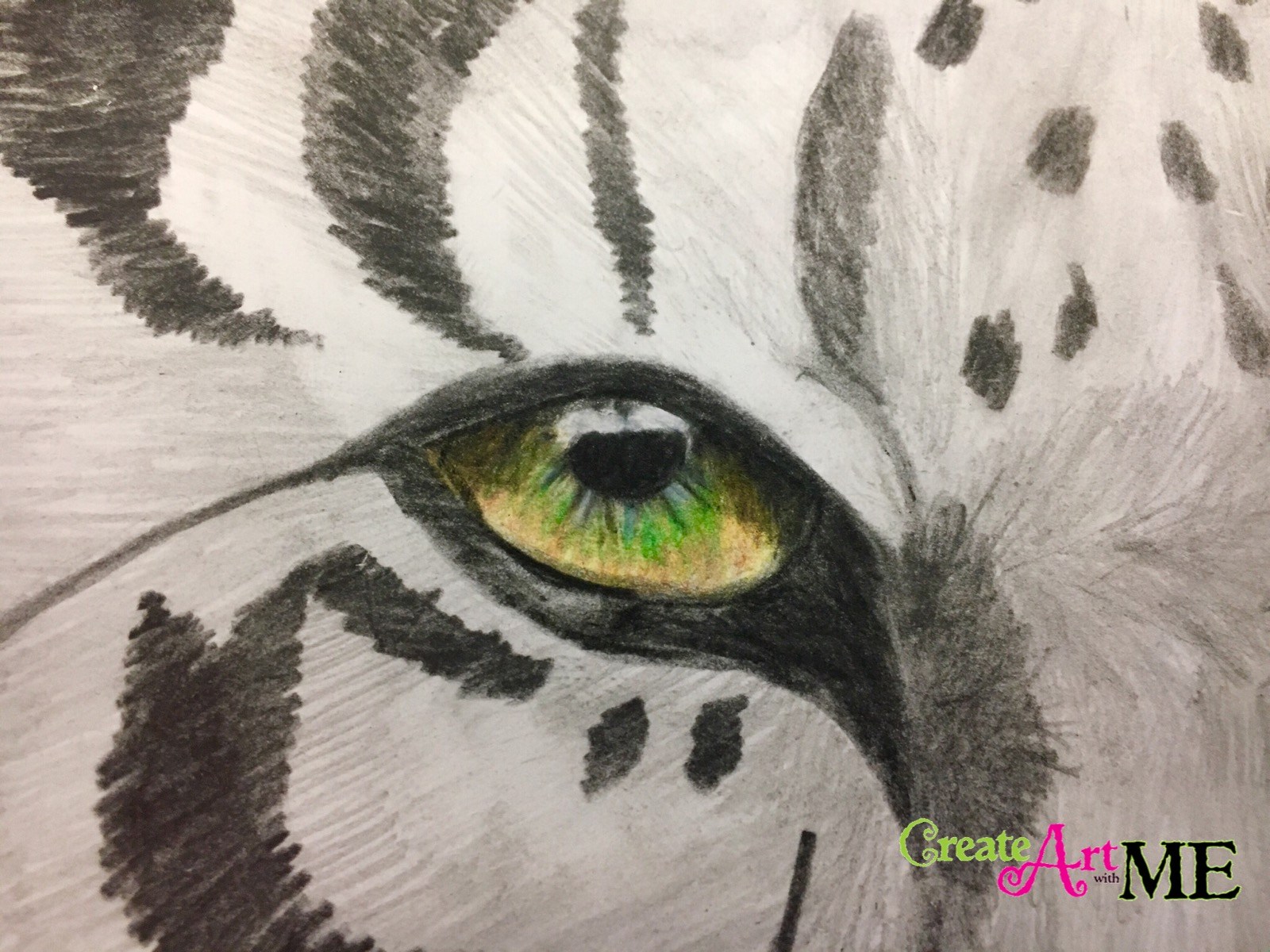 1600x1200 Emphasis Animal Eyes Spot Color Drawing