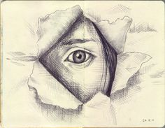 236x183 Warm Up Drawing Exercise With Charcoal. Emphasis On Line And Value