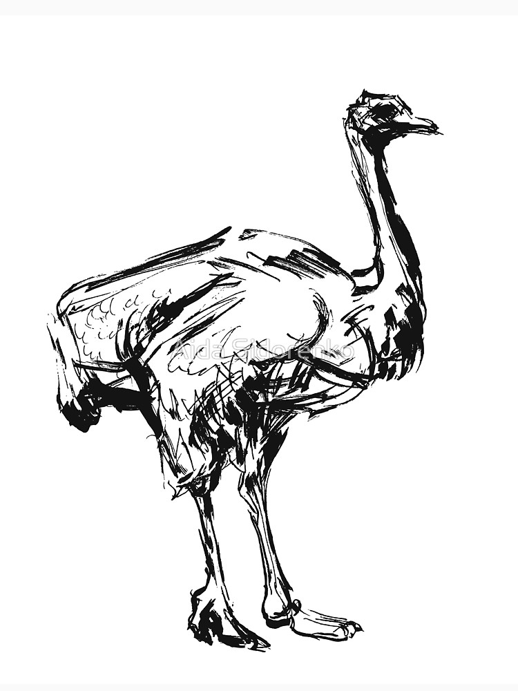 750x1000 Ostrich. Ink Sketch. Long T Shirt By Aidasidorenko Redbubble