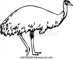 247x204 Emu Line Art
