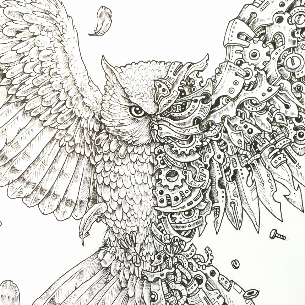 1024x1024 Enchanted Forest Coloring Pages Pdf Photos Millie Marotta S Animal