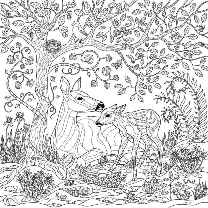 728x728 20 New Enchanted Forest Coloring Pages Msainfo.us