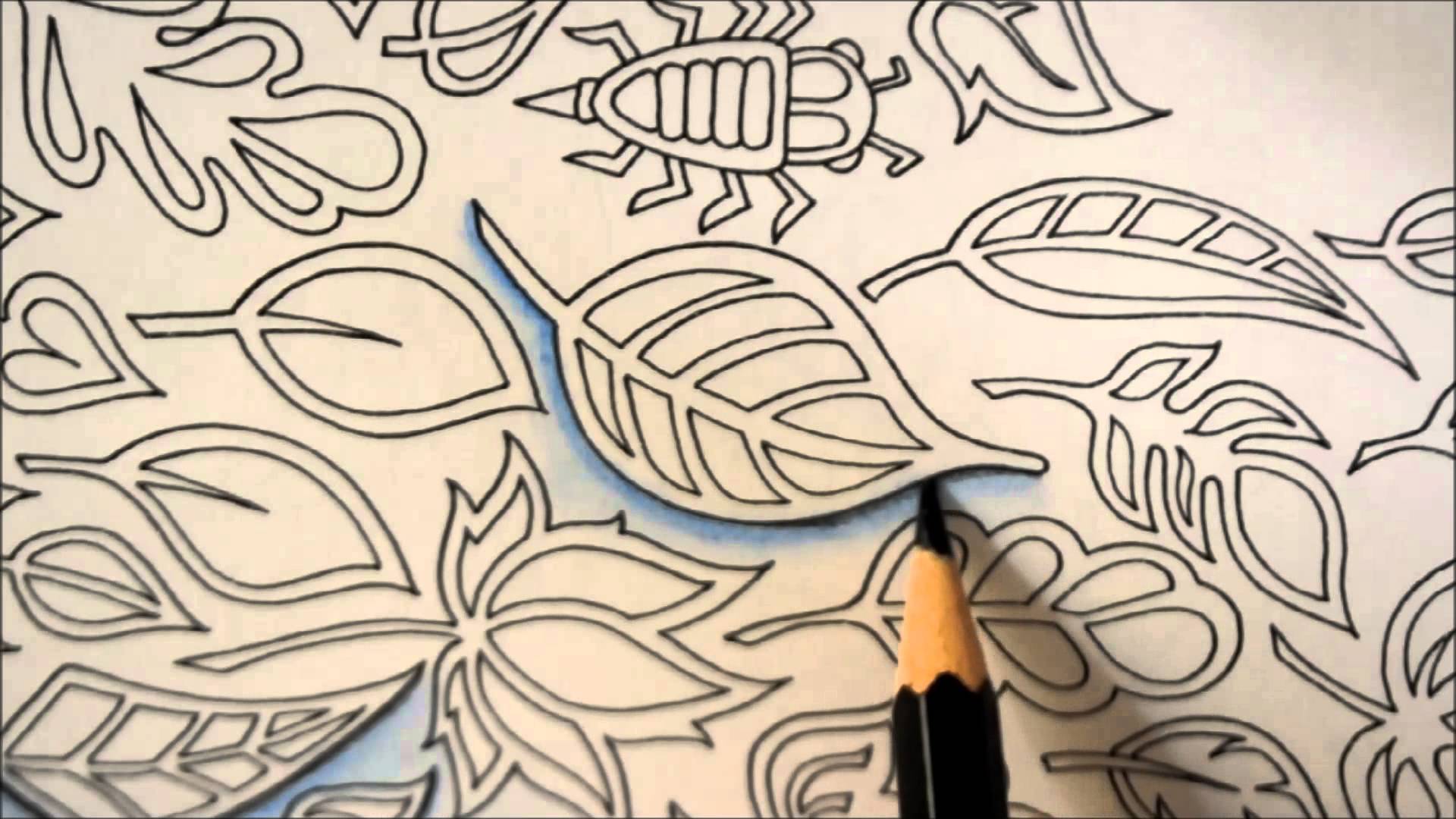 1920x1080 Enchanted Forest Drawing Shadow Floresta Encantada