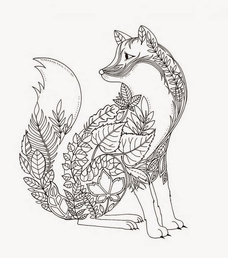 736x833 Forest Coloring Pages