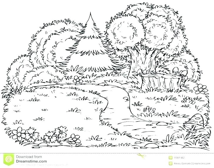728x571 Forest Coloring Pages Forest Coloring Pages Printable Coloring