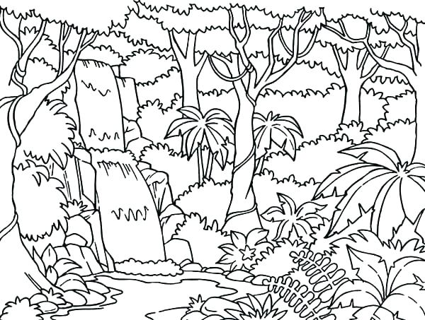 600x453 Coloring Forest Enchanted Forest Coloring Book Finished