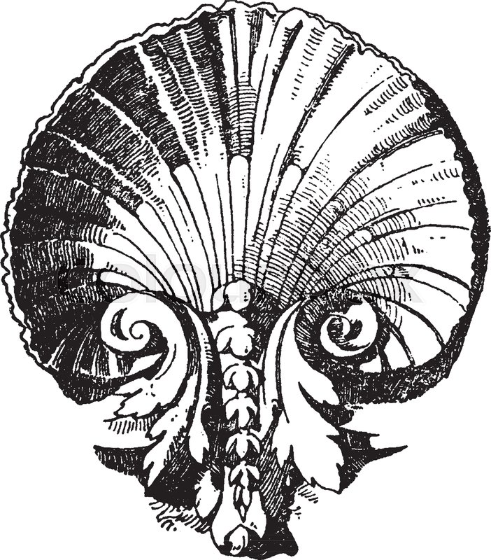 702x800 Scallop Design Shell Was A Louis Xvi Style, It Was Used On