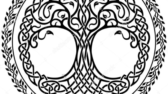 570x320 Celtic Tree Of Life Drawing This Is For Real. This Tattoo Will Be