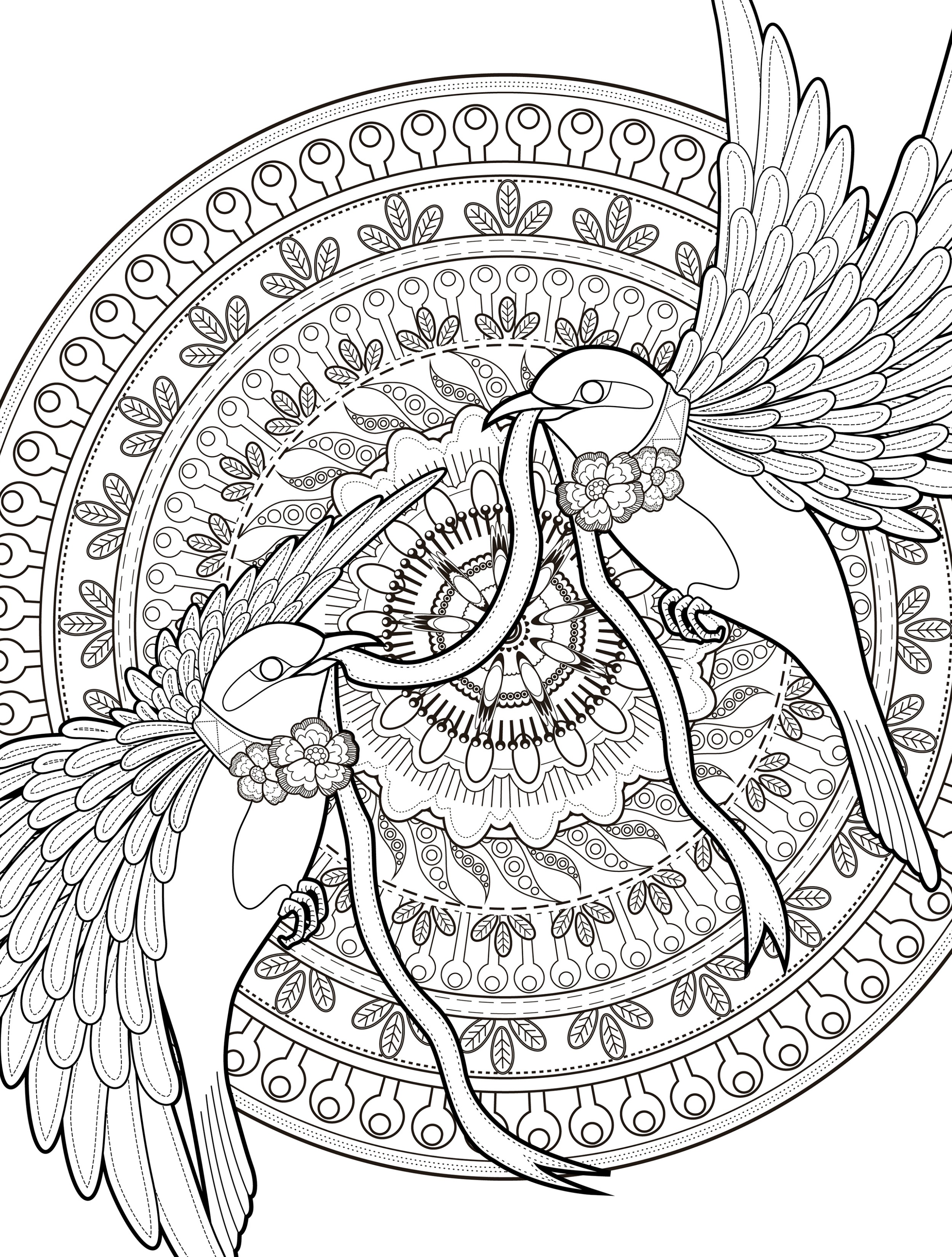 2500x3300 Bird Coloring Pages For Adults Bird Coloring Pages For Adults Free