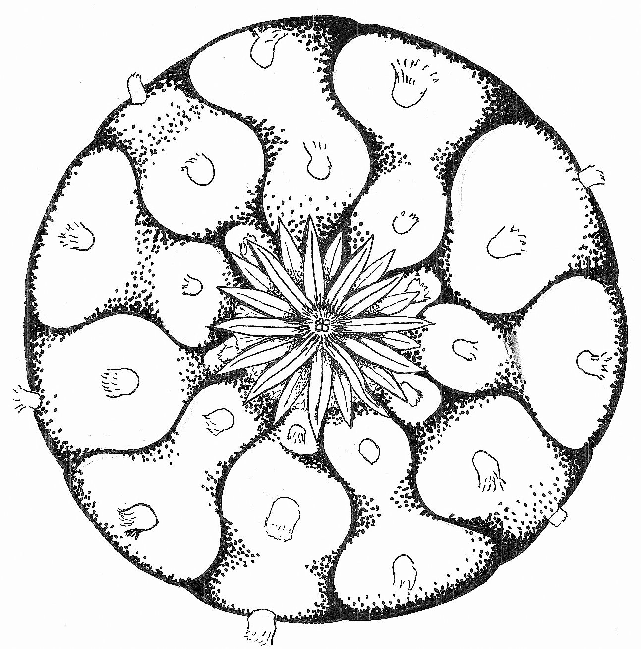 1293x1308 Peyote Drawings Mandala Drawings Stuff I Want To Make