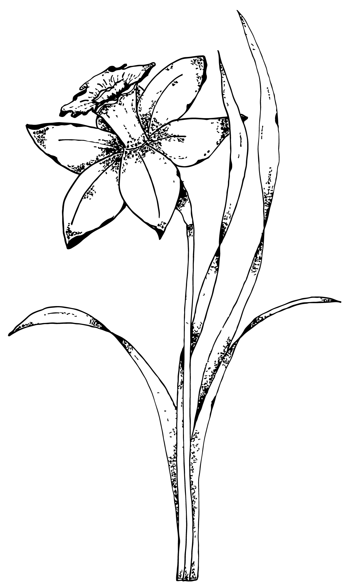 1208x2052 Ostara The Spring Equinox 20th March 2018