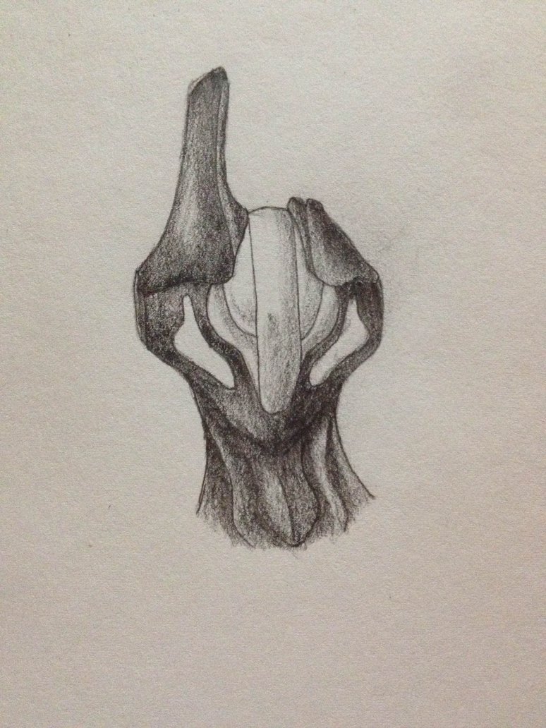 774x1032 Warframe Night Equinox By Battlebrows