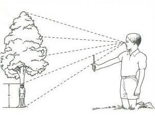 303x227 Orienteering