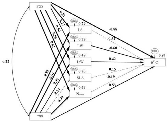 556x403 Results Path Models To Estimate The Direct Effects