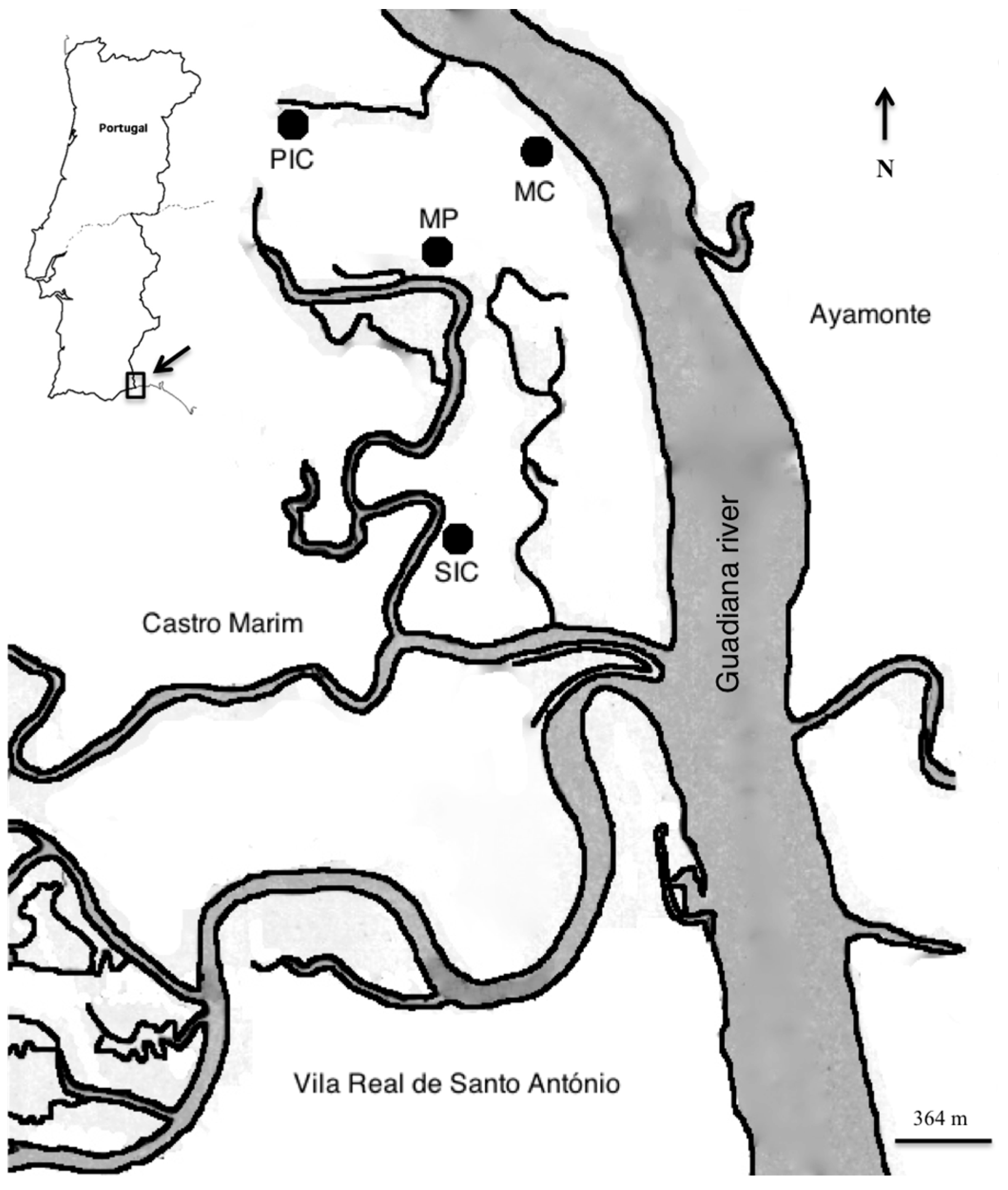 2120x2502 Fishes Free Full Text Preliminary Insight Into Winter Native