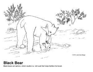 300x232 Glacier To Estuary Environmental Education Materials Now Available