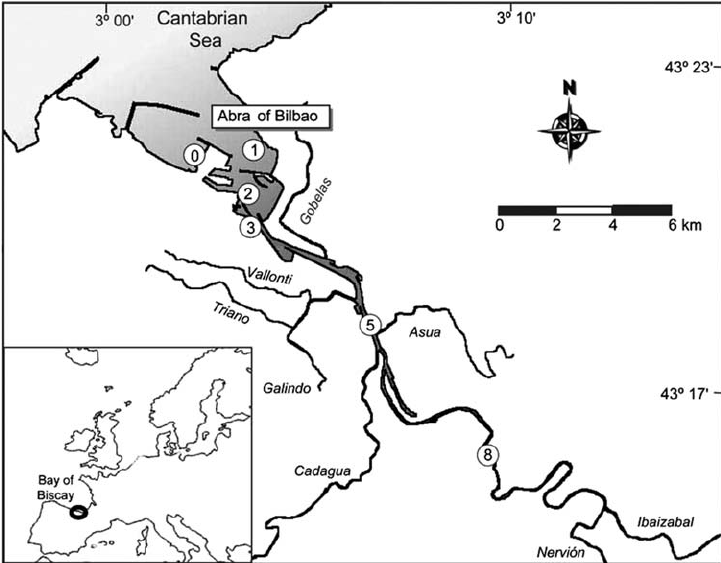 721x563 Map Of The Nervion River Estuary, Showing Sampling Stations