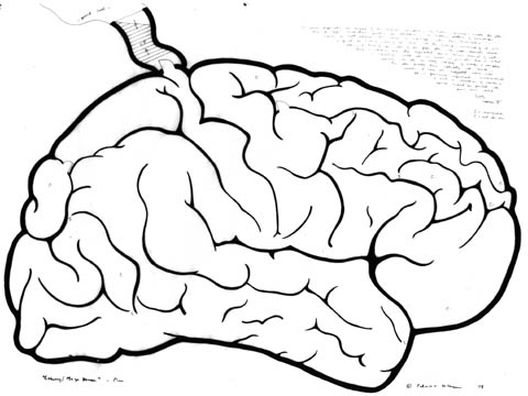 480x360 Patricia Johanson